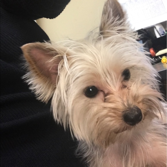 Meet your Posher, Ester - Picture 1 of 1